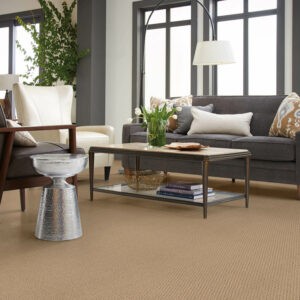 Living room Carpet flooring | CarpetsPlus Of Wisconsin