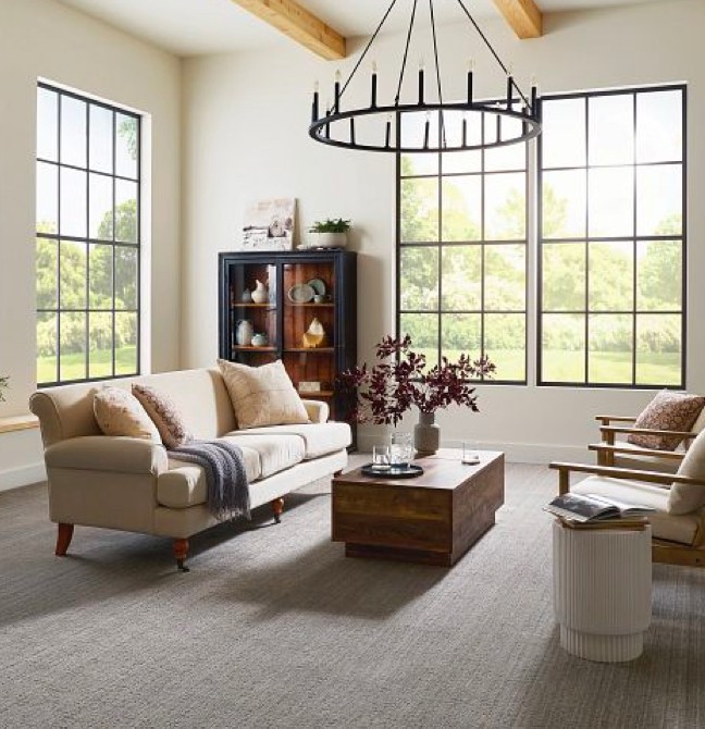 Living room Carpet | CarpetsPlus Of Wisconsin