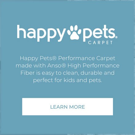Happy pets | CarpetsPlus Of Wisconsin