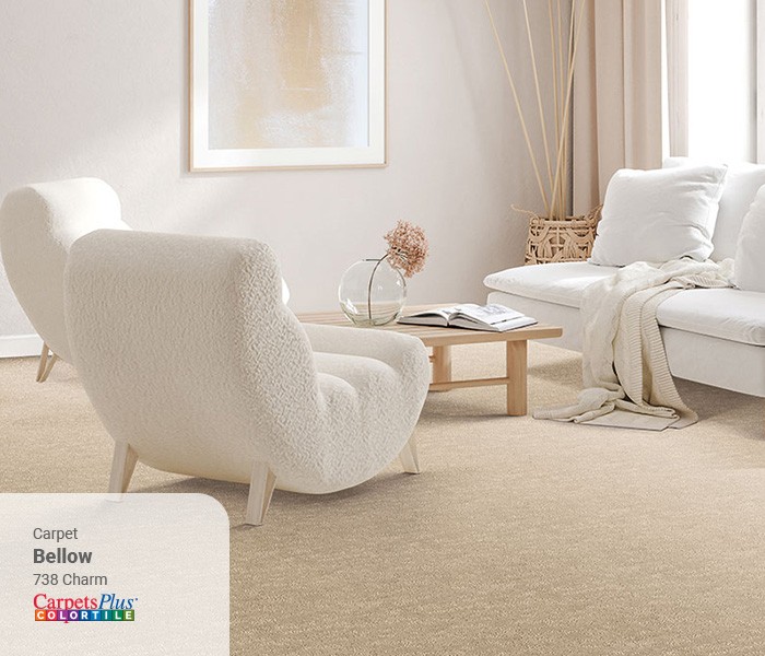 Living room Carpet flooring | CarpetsPlus of Wisconsin