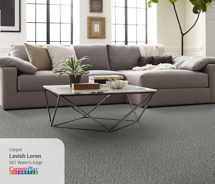 Living room carpet floor | CarpetsPlus of Wisconsin