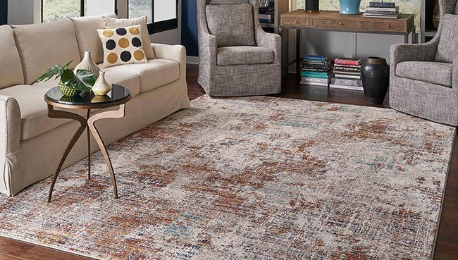 Area Rug for living room | CarpetsPlus Of Wisconsin