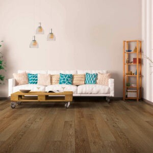 Vinyl flooring for living room | CarpetsPlus Of Wisconsin